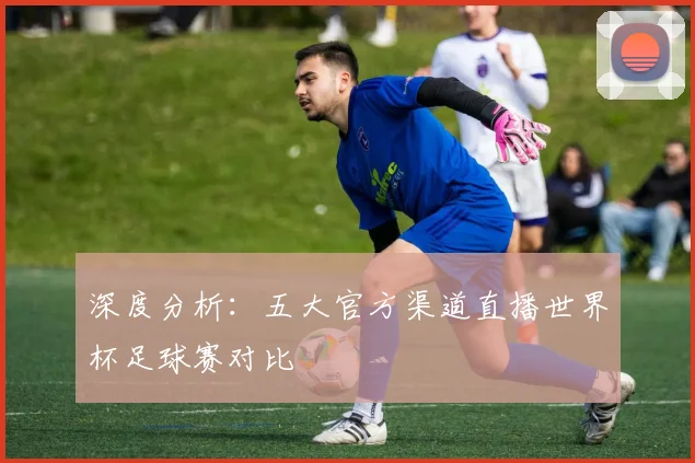 深度分析：五大官方渠道直播世界杯足球赛对比