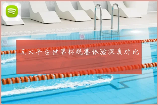 五大平台世界杯观赛体验深度对比