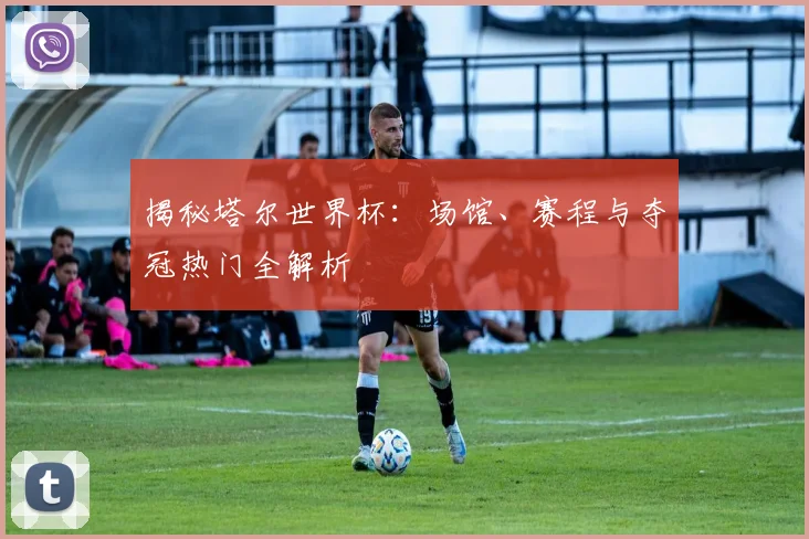 揭秘塔尔世界杯:场馆、赛程与夺冠热门全解析