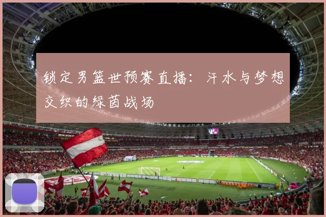 锁定男篮世预赛直播：汗水与梦想交织的绿茵战场