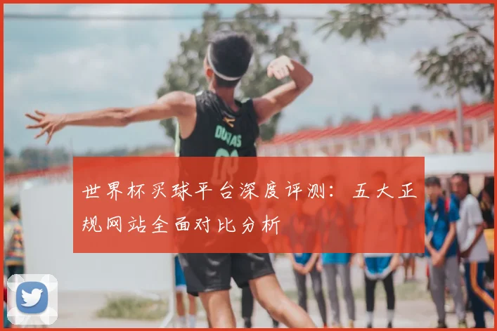 世界杯买球平台深度评测:五大正规网站全面对比分析
