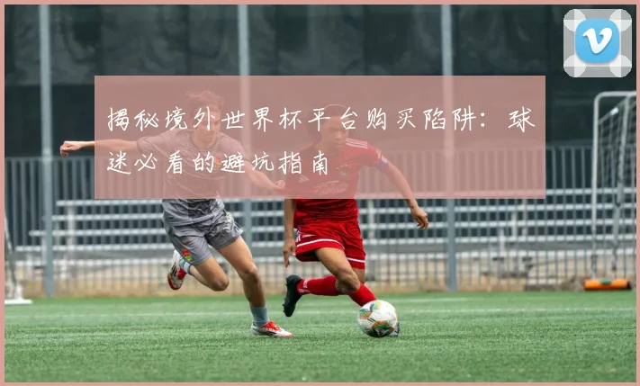 揭秘境外世界杯平台购买陷阱:球迷必看的避坑指南